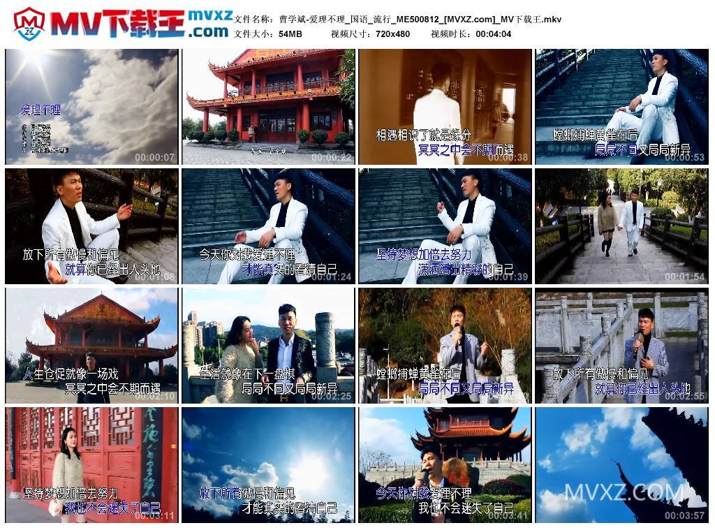 曹学斌-爱理不理_国语_流行_ME500812